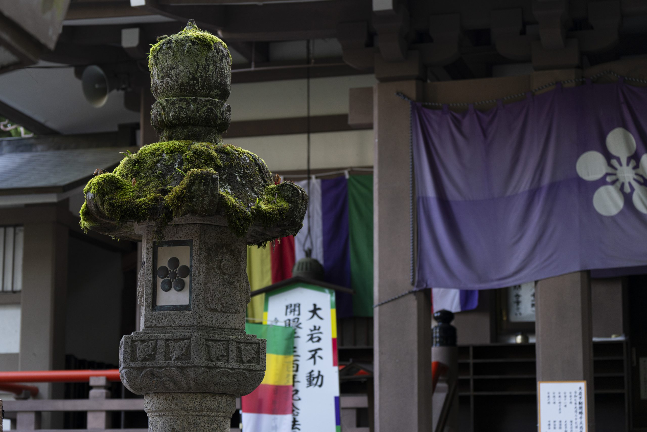 フォトギャラリー